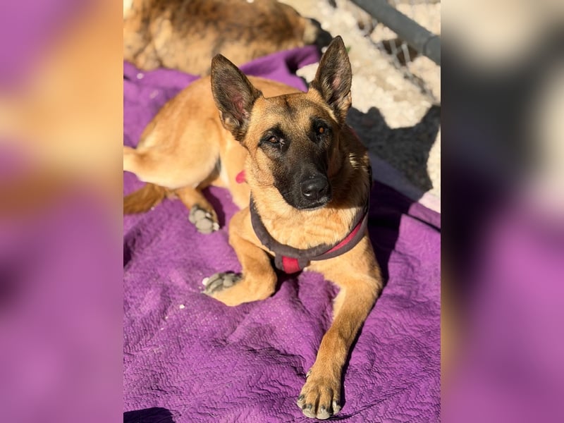 Lola, sucht einen ruhigen Platz