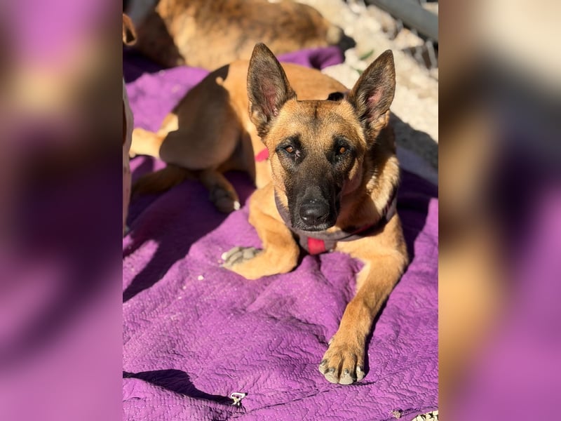 Lola, sucht einen ruhigen Platz