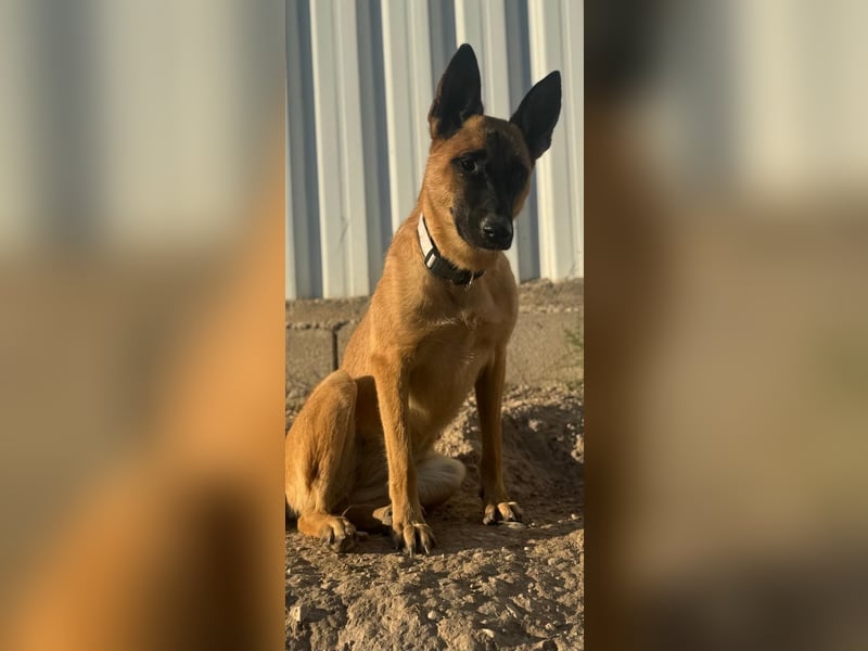 Lola, sucht einen ruhigen Platz