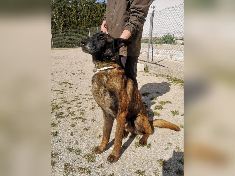 Tito, gehorsam und menschenbezogen