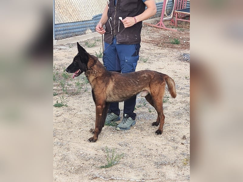 Tito, gehorsam und menschenbezogen