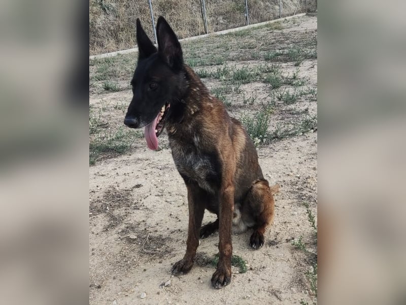 Tito, gehorsam und menschenbezogen