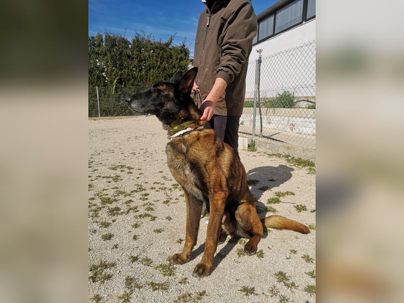 Tito, gehorsam und menschenbezogen