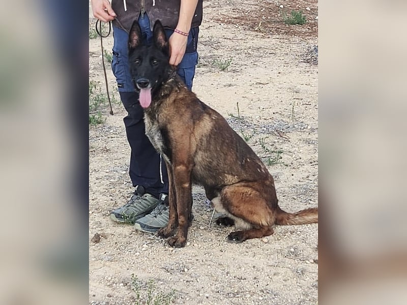 Tito, gehorsam und menschenbezogen