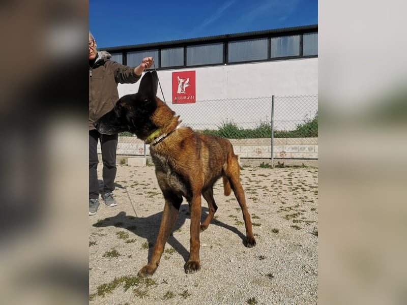 Tito, gehorsam und menschenbezogen