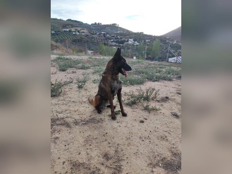 Tito, gehorsam und menschenbezogen