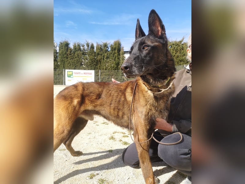 Tito, gehorsam und menschenbezogen