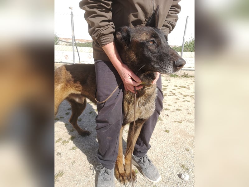 Tito, gehorsam und menschenbezogen