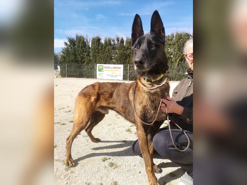 Tito, gehorsam und menschenbezogen