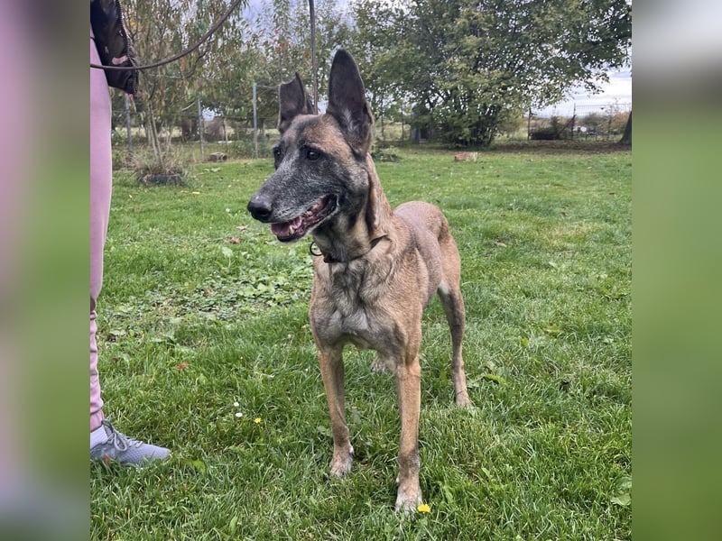 Gea noch fit wie ein Turnschuh