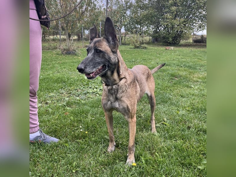 Gea noch fit wie ein Turnschuh