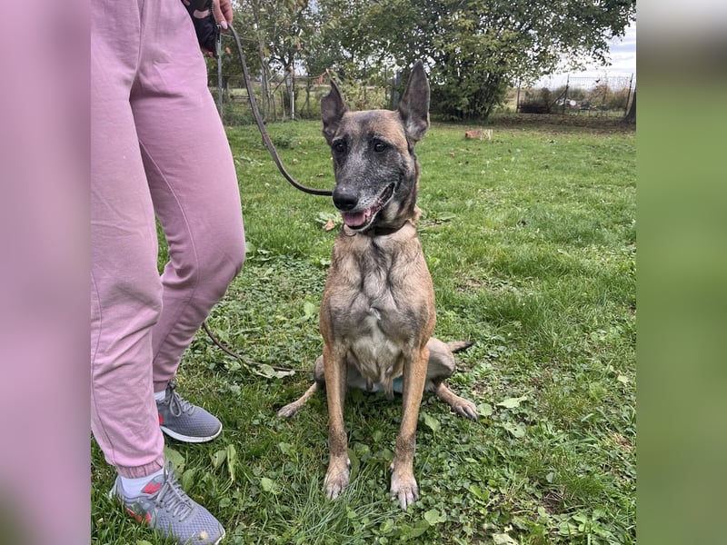 Gea noch fit wie ein Turnschuh