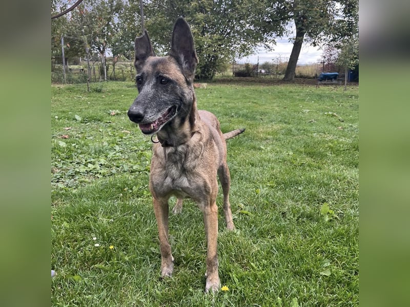 Gea noch fit wie ein Turnschuh