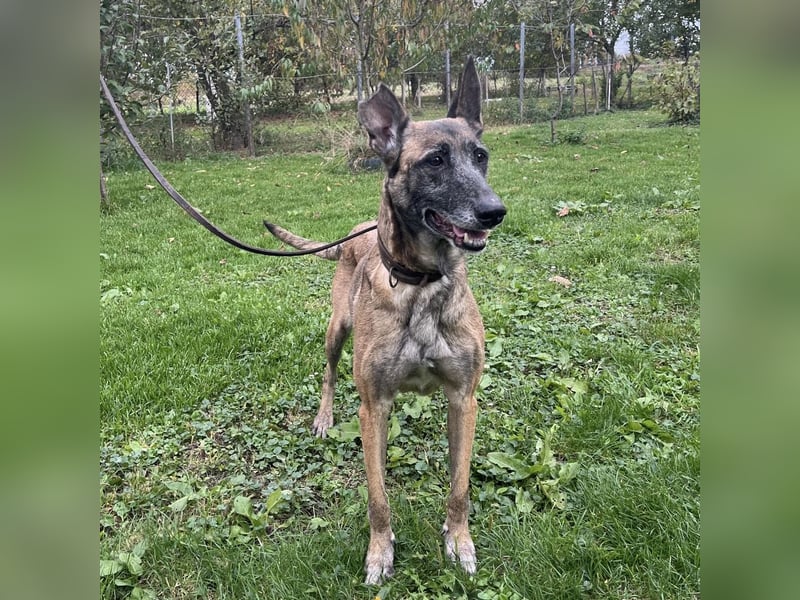 Gea noch fit wie ein Turnschuh