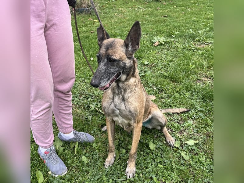 Gea noch fit wie ein Turnschuh