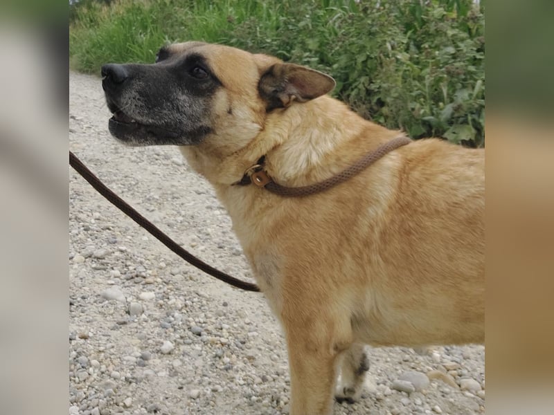 Zeki - hat Hölle hinter sich gelassen