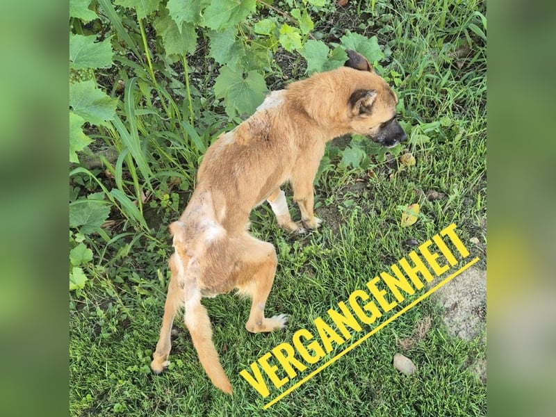 Zeki - hat Hölle hinter sich gelassen