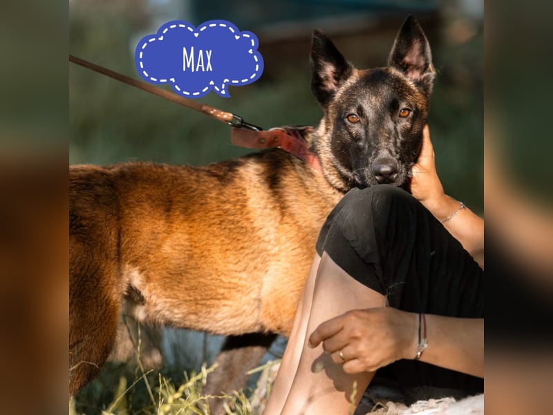 Max ein unglücklicher Schatz