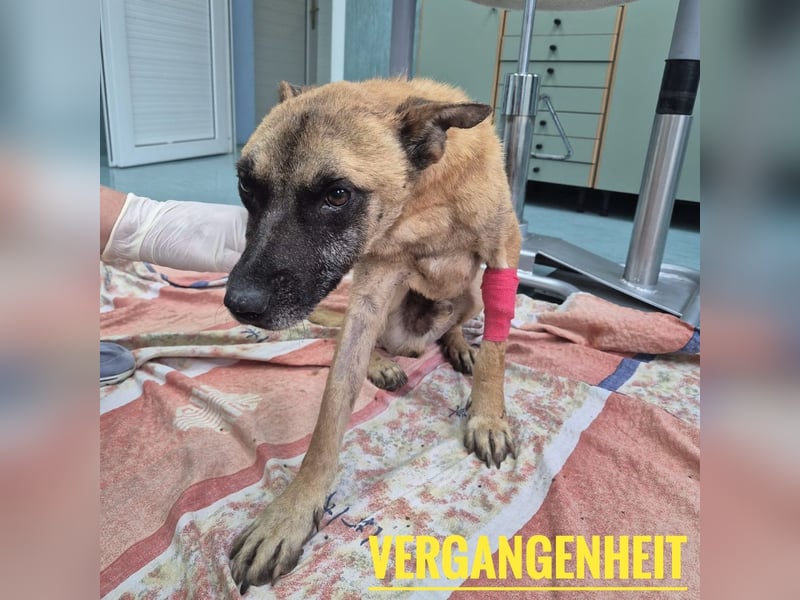 Zeki - hat Hölle hinter sich gelassen