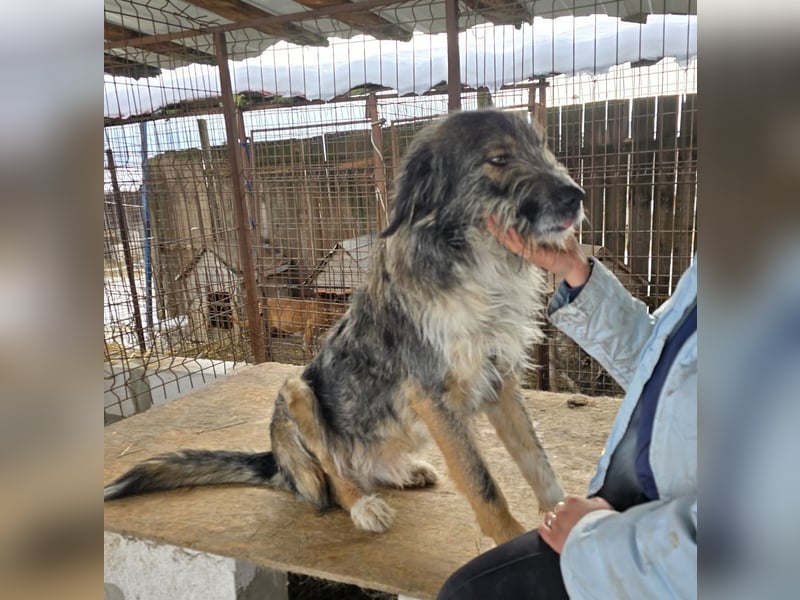 Ferdi - soo freundlich