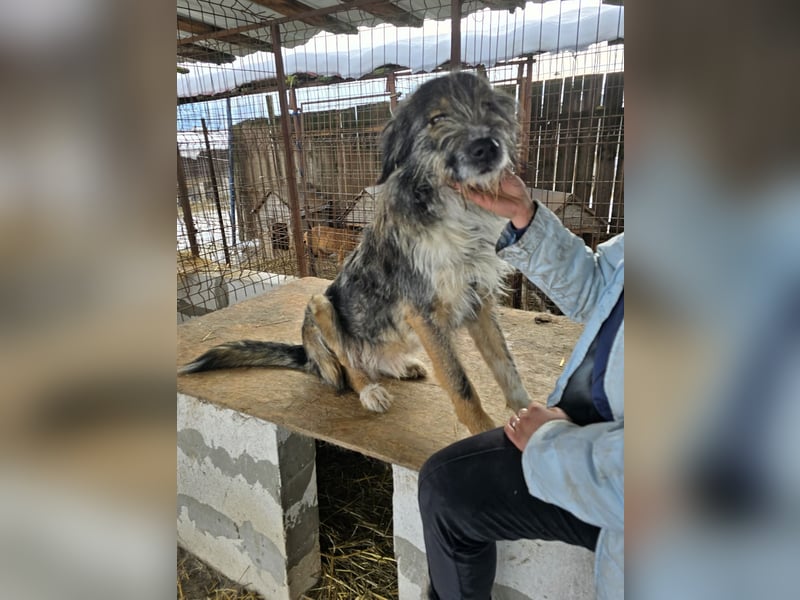 Ferdi - soo freundlich