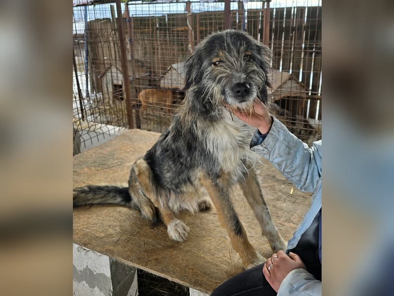 Ferdi - soo freundlich