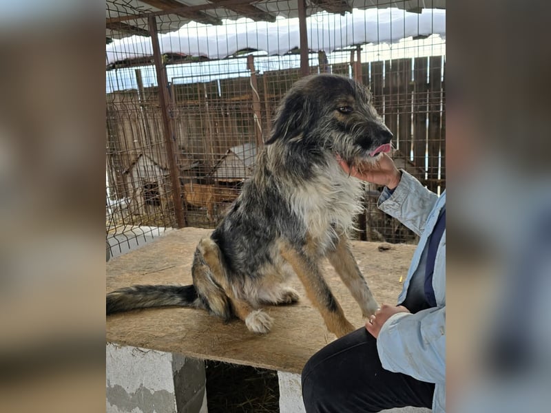 Ferdi - soo freundlich