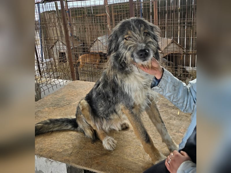 Ferdi - soo freundlich