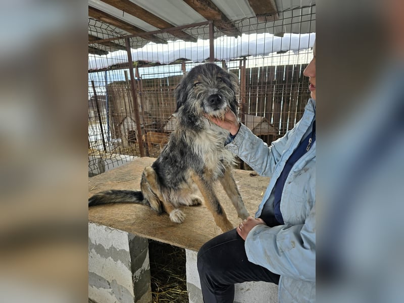 Ferdi - soo freundlich