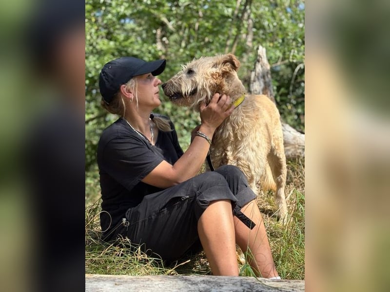 Messi, ein Hund mit viel Potential und einfach nur lieb