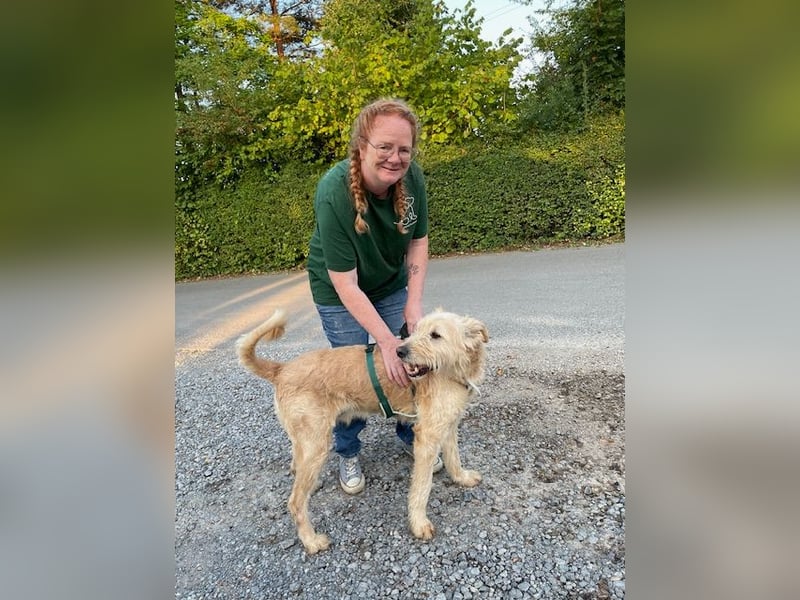 Messi, ein Hund mit viel Potential und einfach nur lieb