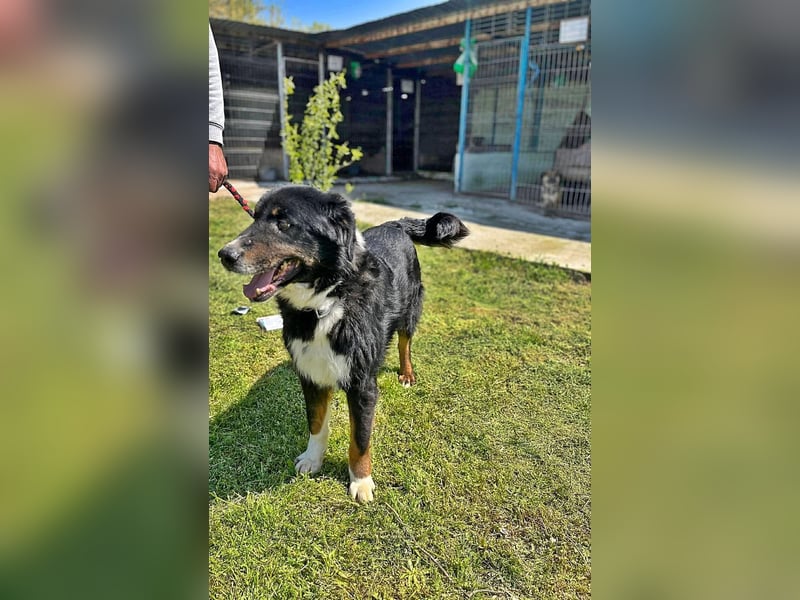 Jack sucht einen Gnadenplatz