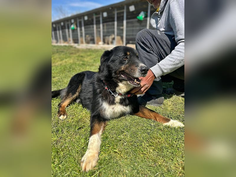 Jack sucht einen Gnadenplatz