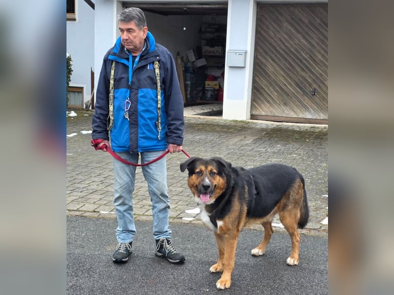 Jenn-Balu - sanftmütiger, kinderlieber Kuschelbär - Tierhilfe Franken e.V.