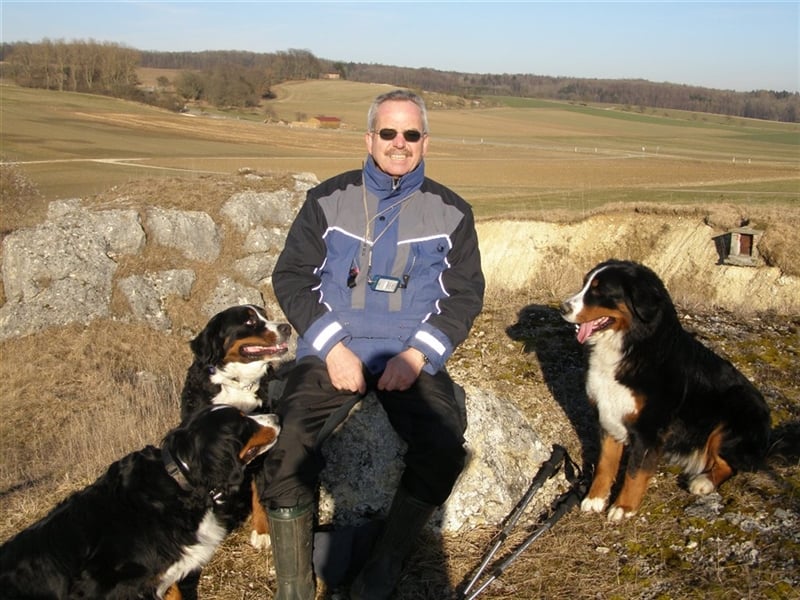 Berner-Sennenhunde Welpen Wurfankündigung 2025