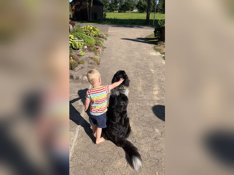 Ella sucht für immer Zuhause