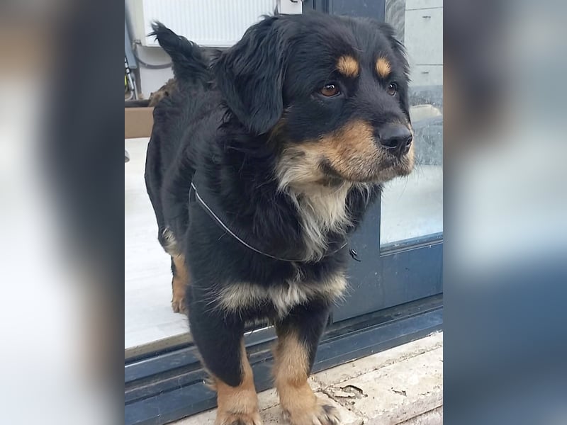 Edda - sehr freundliche und menschenbezogen