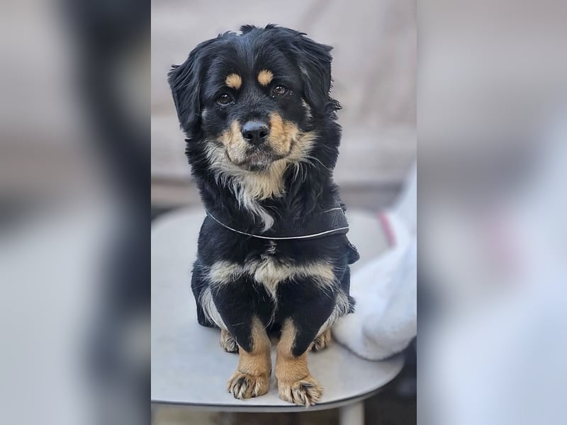 Edda - sehr freundliche und menschenbezogen