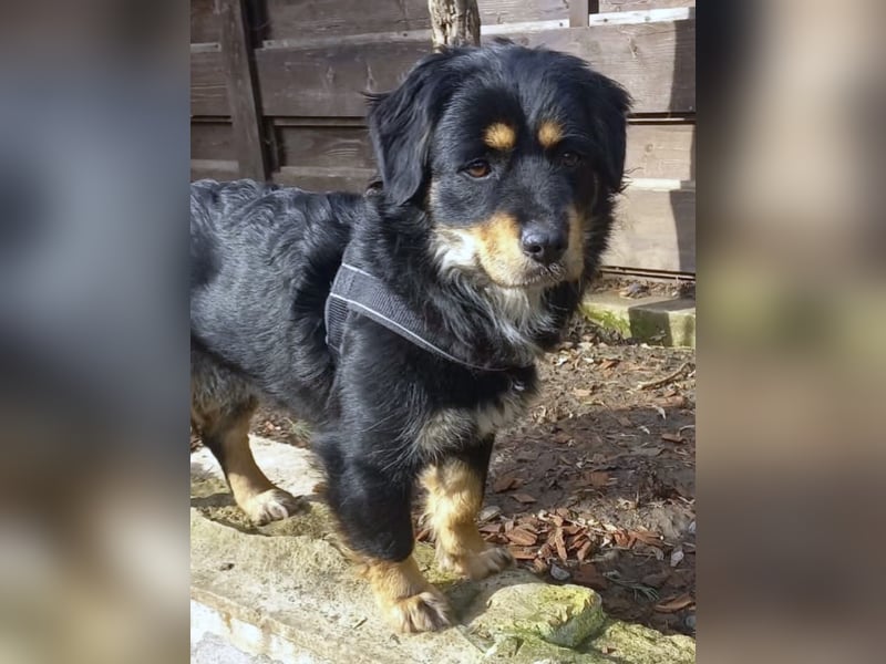 Edda - sehr freundliche und menschenbezogen