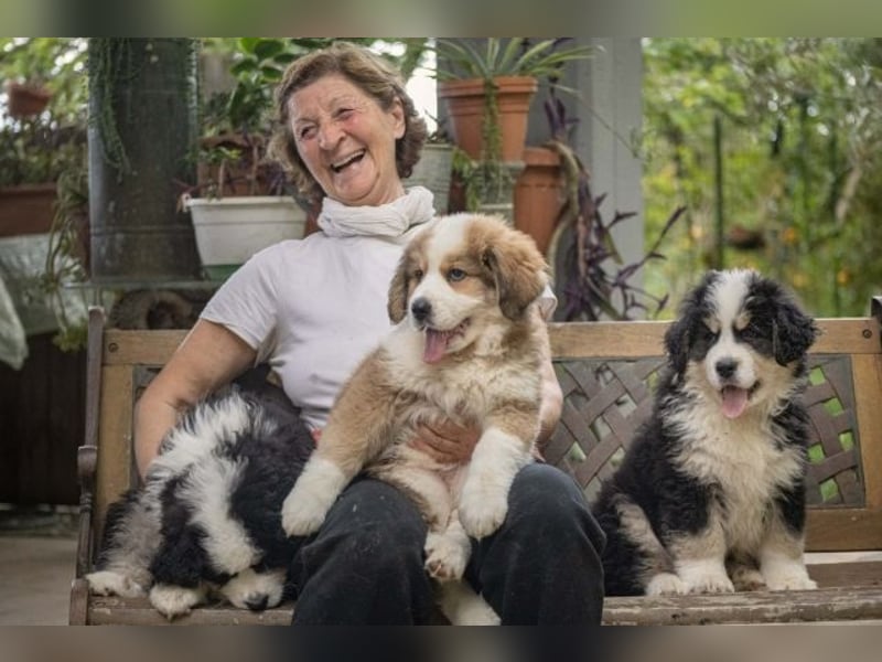 Flausch - Drei kleine Schweizer in Italien