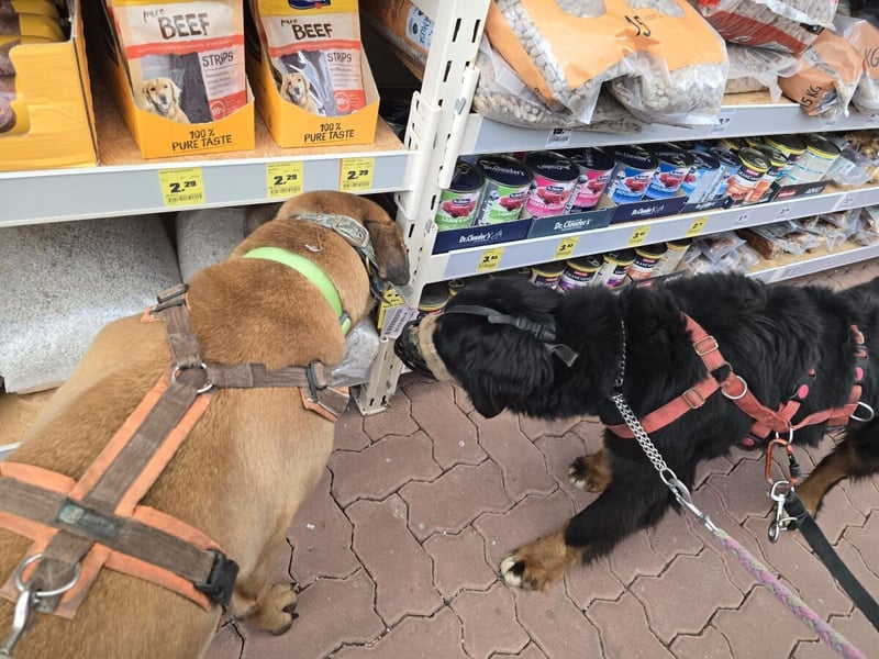 Roxana auf den Weg ins Leben