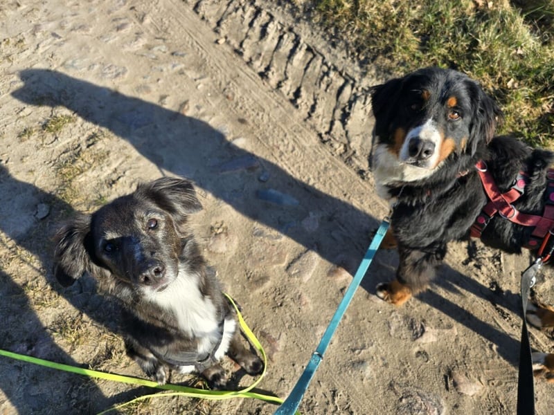 Roxana auf den Weg ins Leben