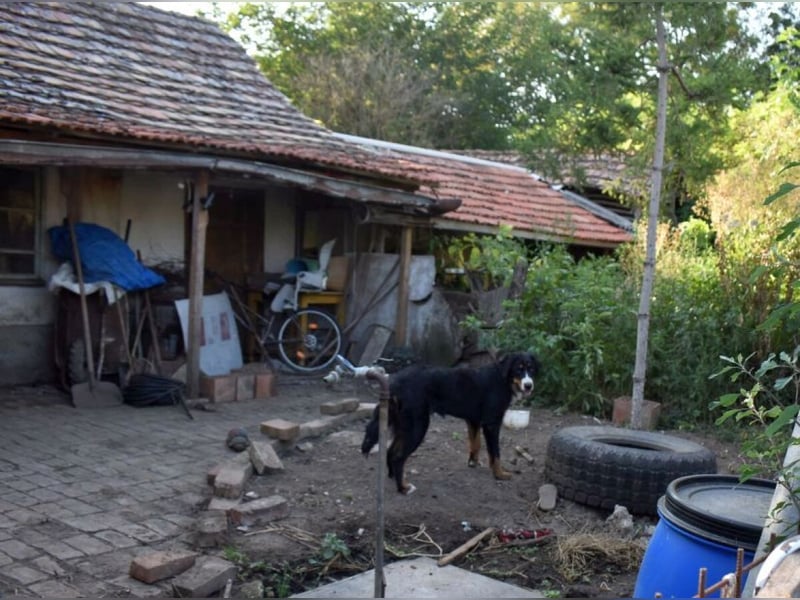 Roxana auf den Weg ins Leben