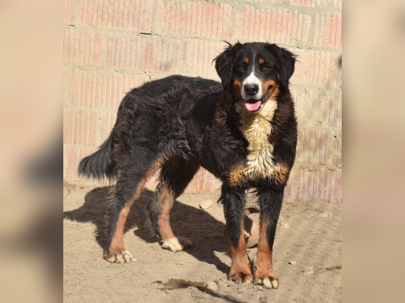 Roxana auf den Weg ins Leben