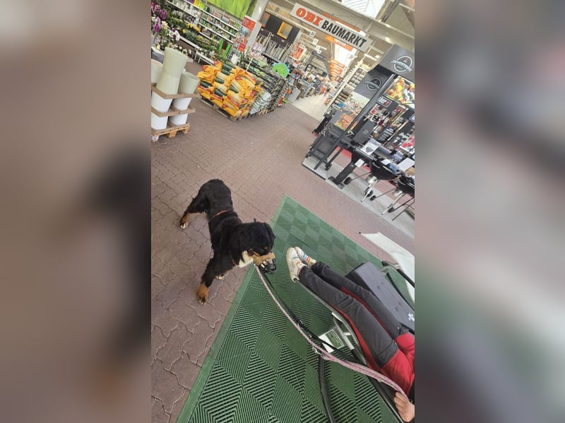 Roxana auf den Weg ins Leben