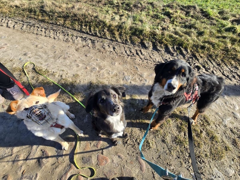 Roxana auf den Weg ins Leben