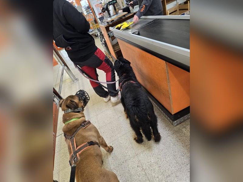 Roxana auf den Weg ins Leben