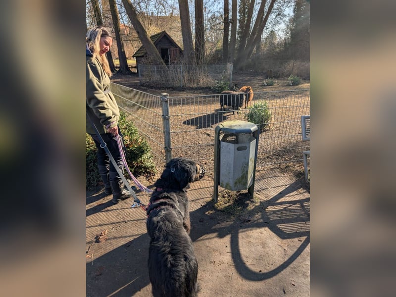 Roxana auf den Weg ins Leben