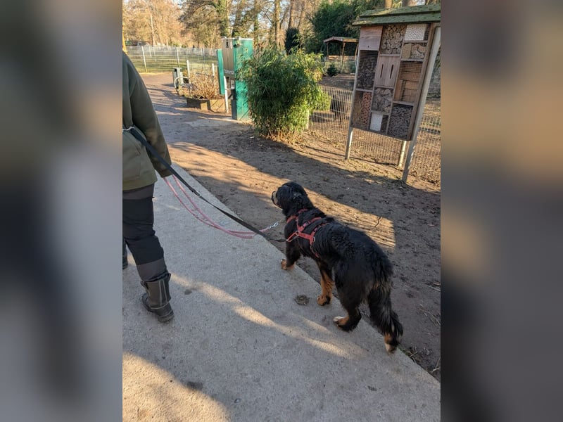 Roxana auf den Weg ins Leben