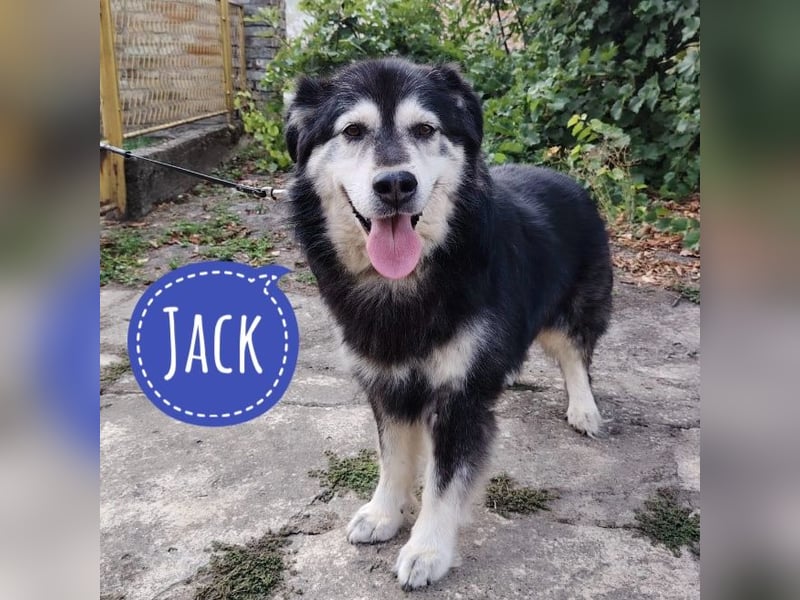 Jack hat noch nie Geborgenheit gespürt